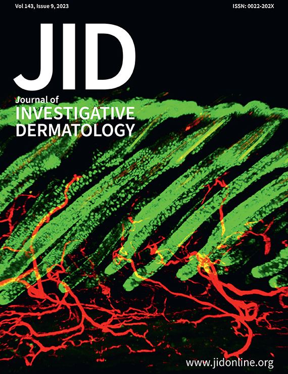 Perilesional Epigenomes Distinguish Melanocytic Nevus Subtypes