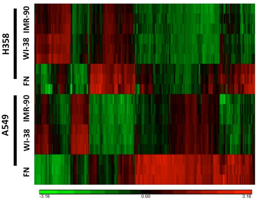 Fibroblast-Derived Extracellular Matrices As An Alternative Cell Culture System That Increases Metastatic Cellular Properties